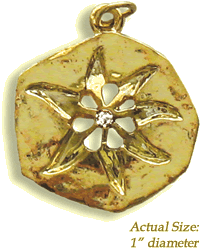 Mystic Star Lucky Amulet